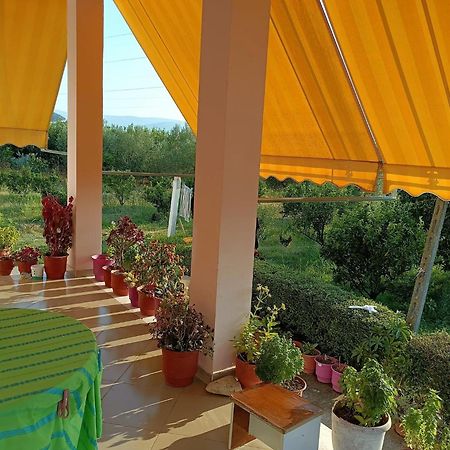 Guest House Fetie Berat Exterior foto